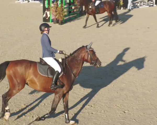 Reitturnier Winterlingen 2023