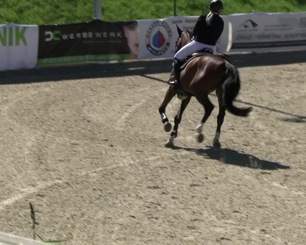 Reitturnier Leichlingen-Witzhelden 2023