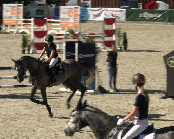 Reitturnier Leichlingen-Witzhelden 2023
