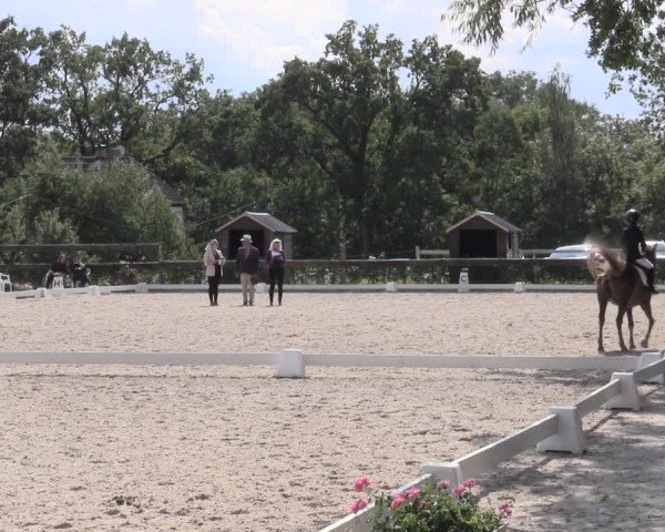 Reitturnier Müncheberg 2023