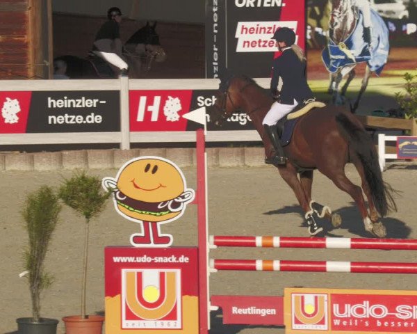 Reitturnier Winterlingen 2023