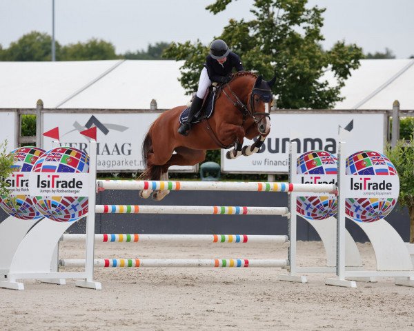 jumper Candraja (Holsteiner, 2017, from Candinas)