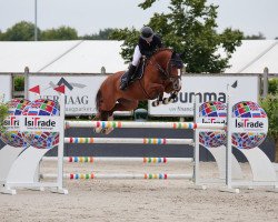 jumper Candraja (Holsteiner, 2017, from Candinas)