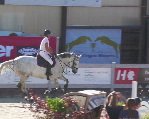 Reitturnier Winterlingen 2023