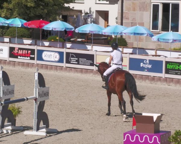 Reitturnier Winterlingen 2023