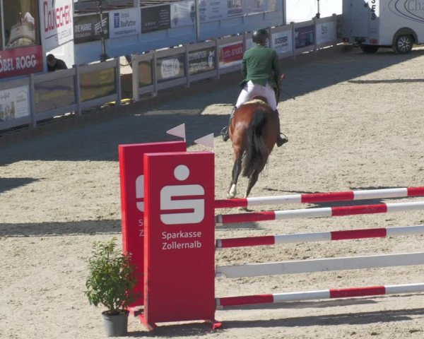 Reitturnier Winterlingen 2023