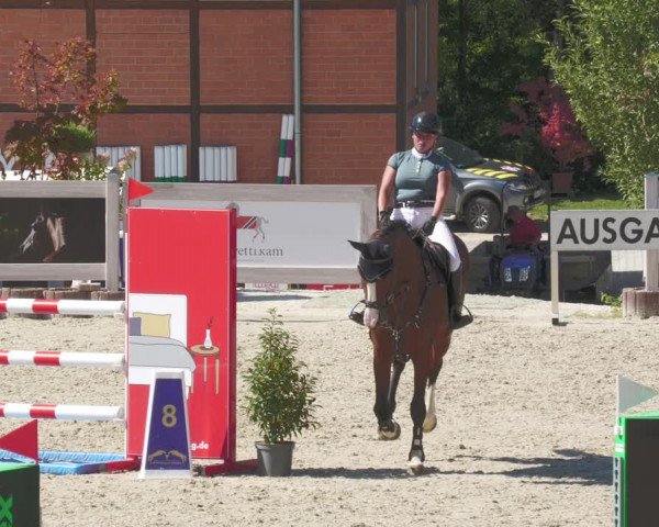 Reitturnier Winterlingen 2023