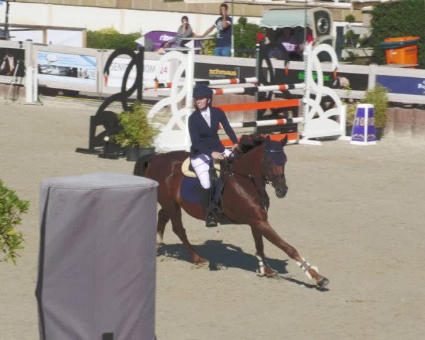 Reitturnier Winterlingen 2023