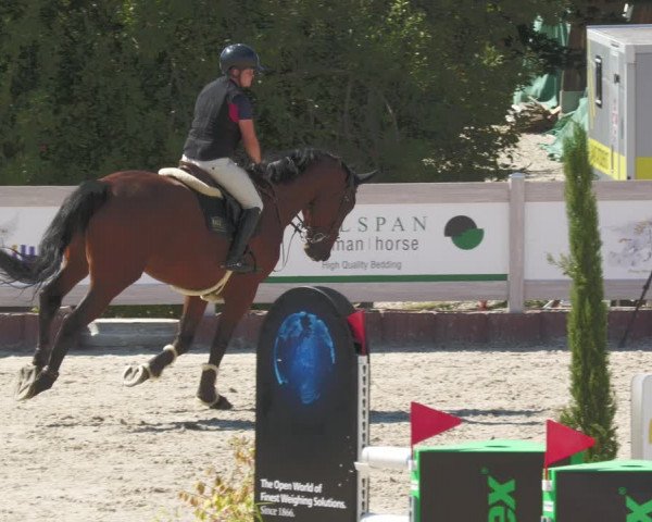 Reitturnier Winterlingen 2023