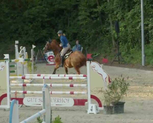 Reitturnier Köln-Flittard (Scheuerhof) 2023