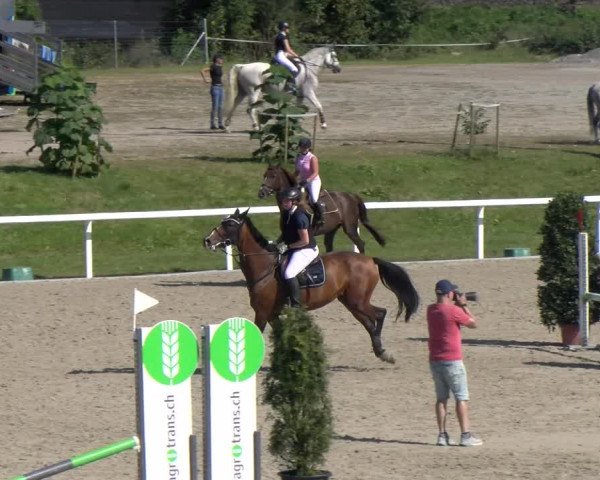 Reitturnier Bülach 2023