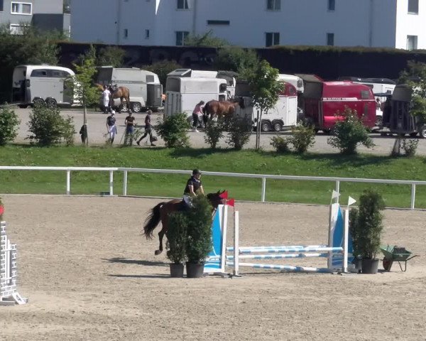 Reitturnier Bülach 2023