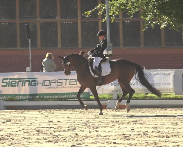 Reitturnier Osnabrück 2023