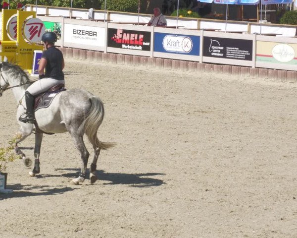 Reitturnier Winterlingen 2023