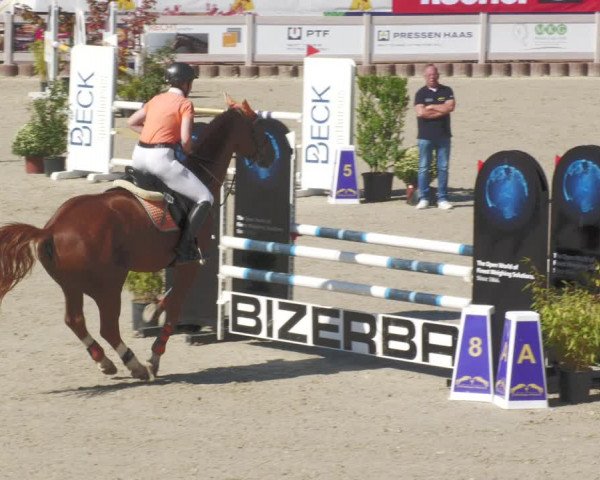 Reitturnier Winterlingen 2023