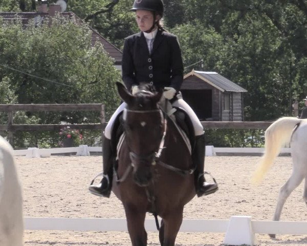 Reitturnier Müncheberg 2023