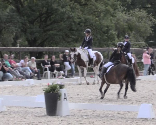 Reitturnier Müncheberg 2023