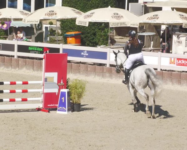 Reitturnier Winterlingen 2023