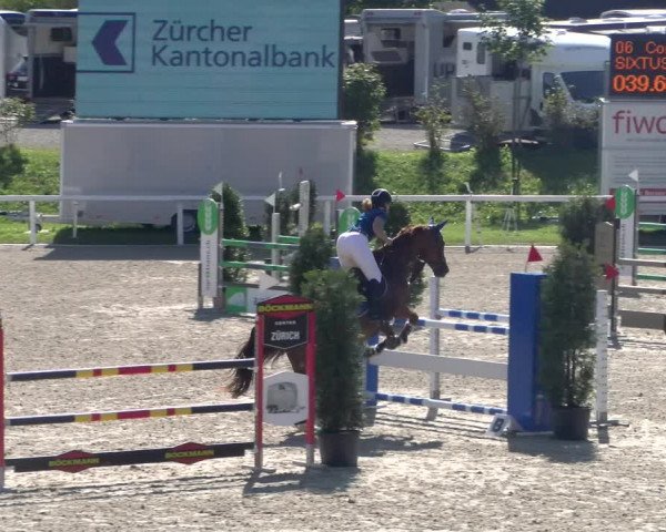 Reitturnier Bülach 2023