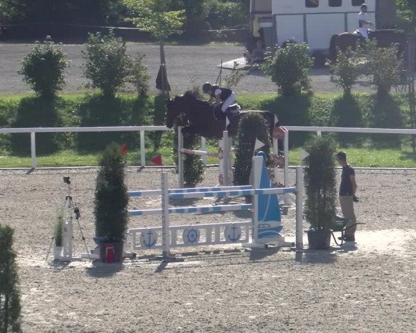 Reitturnier Bülach 2023