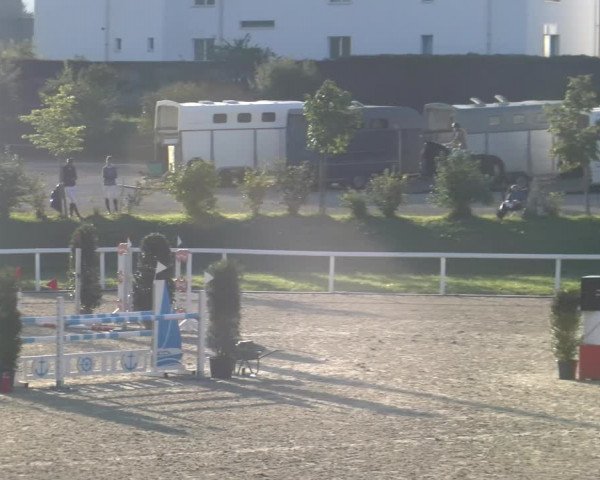 Reitturnier Bülach 2023