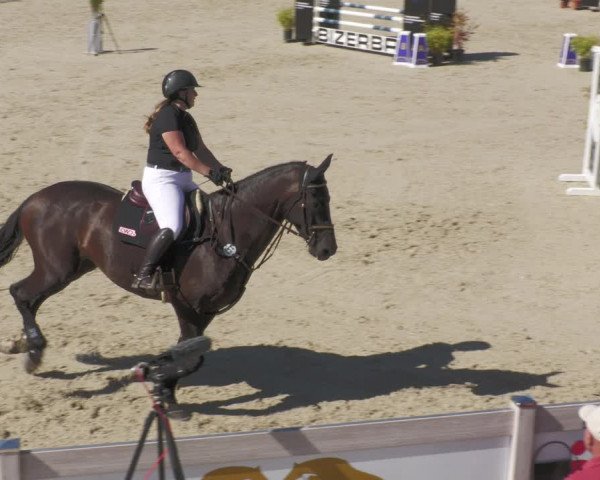 Reitturnier Winterlingen 2023