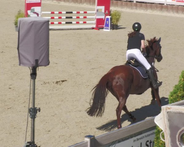 Reitturnier Winterlingen 2023