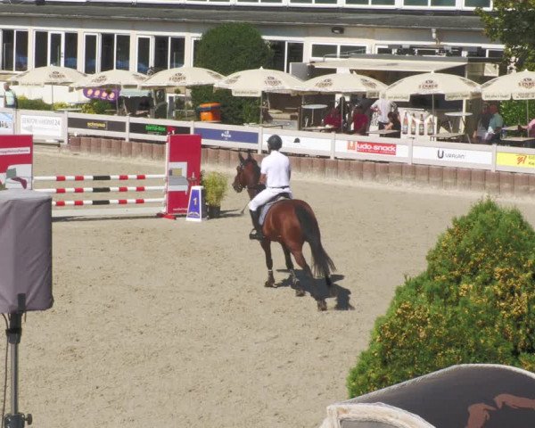 Reitturnier Winterlingen 2023