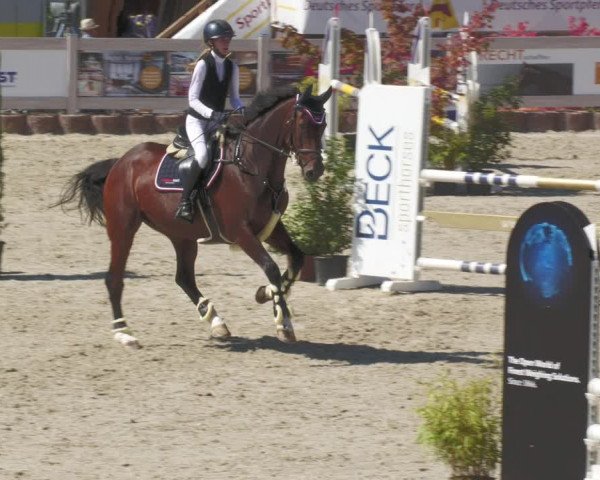 Reitturnier Winterlingen 2023