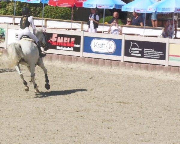 Reitturnier Winterlingen 2023