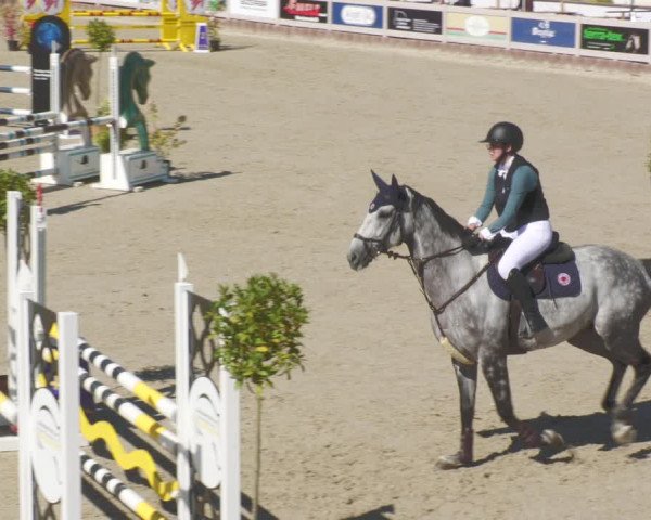 Reitturnier Winterlingen 2023