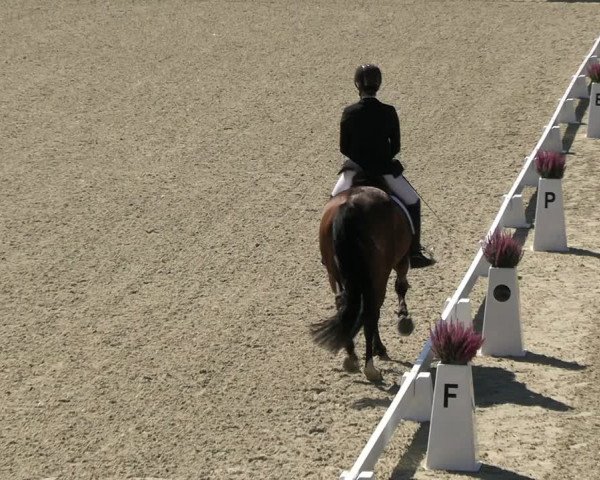 Reitturnier Leichlingen-Witzhelden 2023