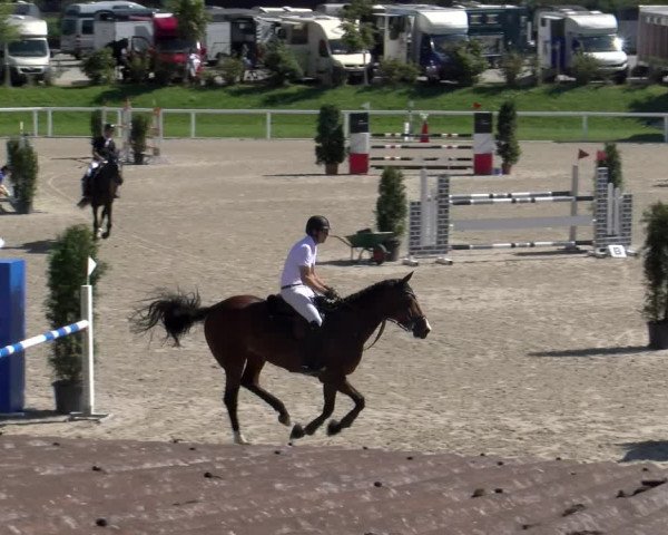 Reitturnier Bülach 2023