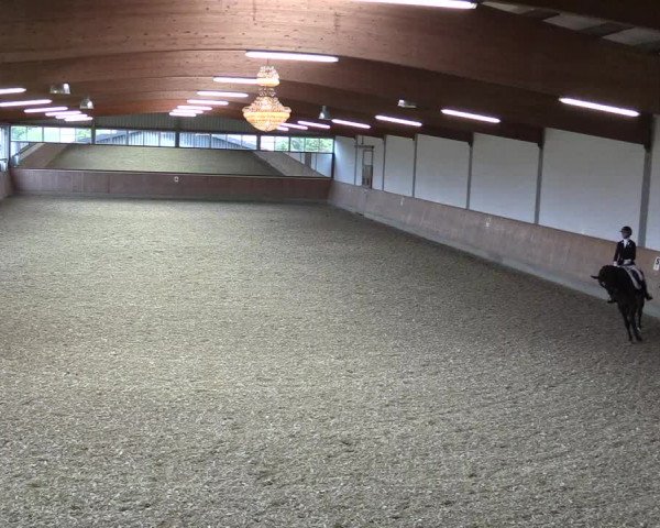 Dressurtage Gut Hohenkamp / Dorsten 2021