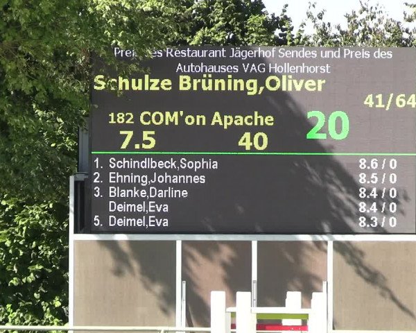 Reitturnier Appelhülsen 2023