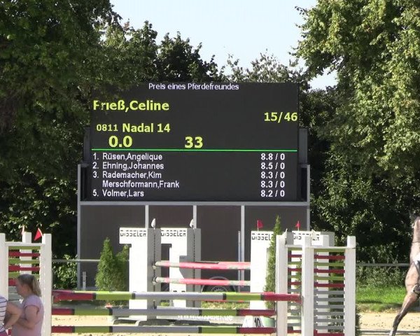 Reitturnier Appelhülsen 2023