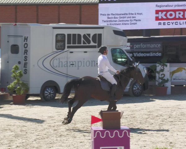 Reitturnier Winterlingen 2023