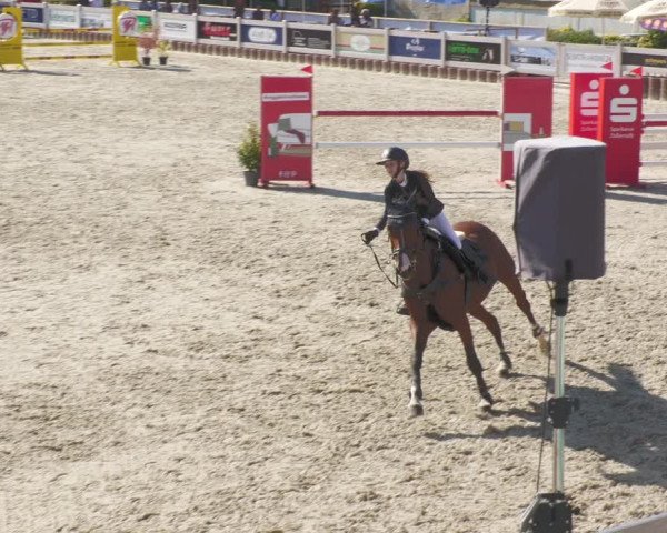 Reitturnier Winterlingen 2023