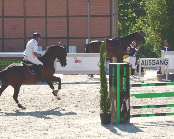 Reitturnier Winterlingen 2023