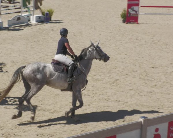 Reitturnier Winterlingen 2023
