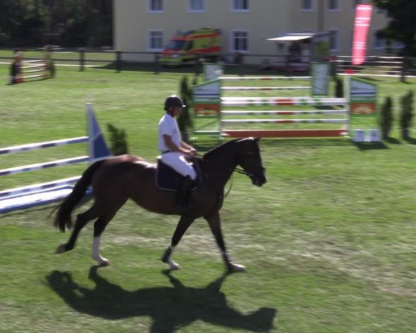 Reitturnier Niemegk / Neuendorf 2023