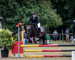 jumper Balou 897 (Pony without race description, 2006)