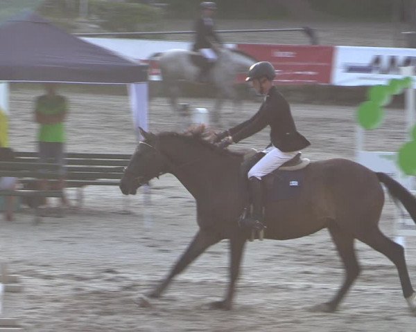 Reitturnier Langenleuba - Oberhain 2023