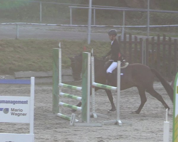 Reitturnier Langenleuba - Oberhain 2023
