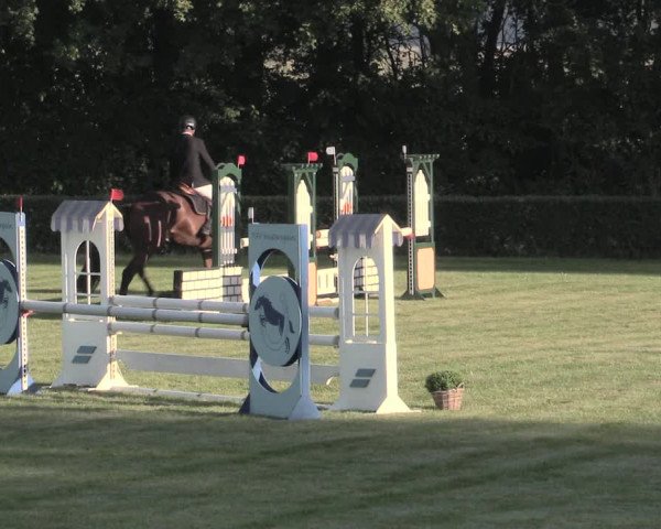 Reitturnier Westeregeln 2023