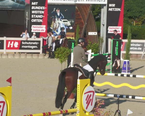 Reitturnier Winterlingen 2023