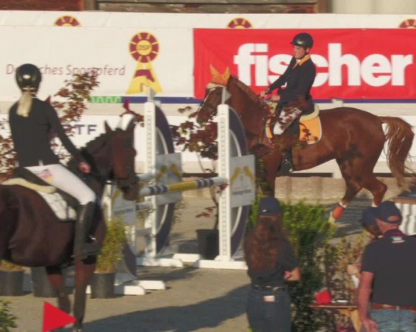 Reitturnier Winterlingen 2023