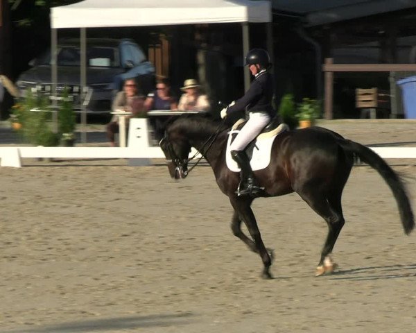 Reitturnier Leichlingen-Witzhelden 2023
