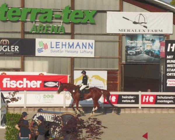 Reitturnier Winterlingen 2023