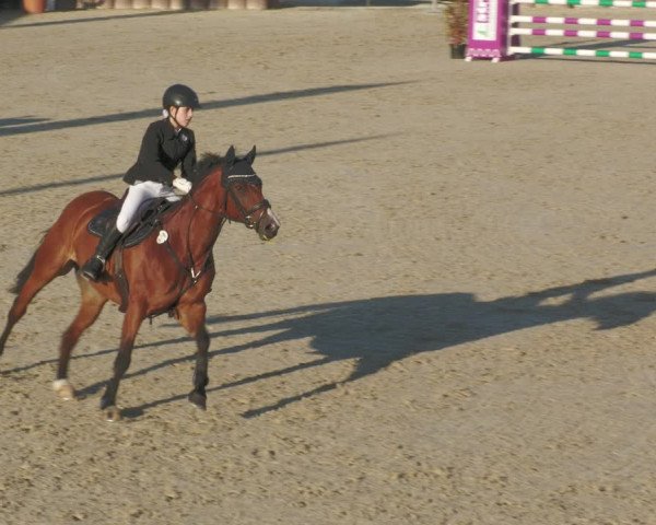 Reitturnier Winterlingen 2023